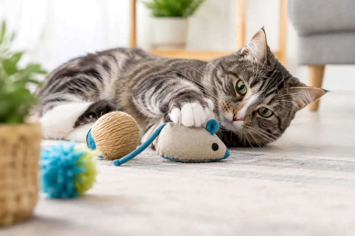 Juguetes con catnip para gatos más felices