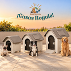 ¡Casas Royale! - portada