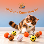 Pelotas Campeonas